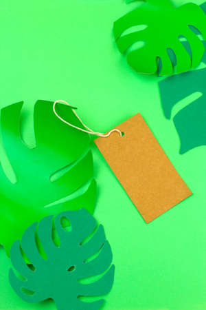 empty mock up label and tropical monstera paper cut leaves summer sale conceptの写真素材