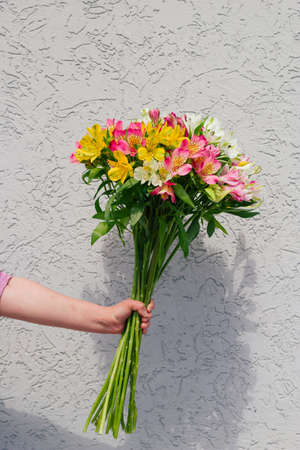 female hand with  Alstroemeria flowers bouquet against rough concrete wallの写真素材