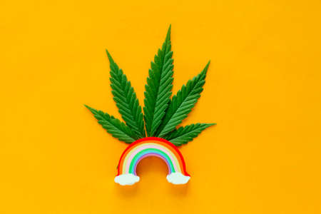 top view flat lay marijuana green leaf with colorful rainbow ,colourful summer greeting cardの写真素材