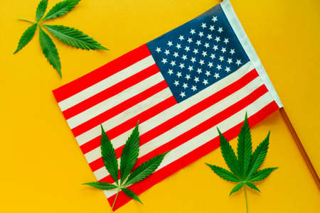hemp leaves and  American flag top view yellow backgroundの写真素材