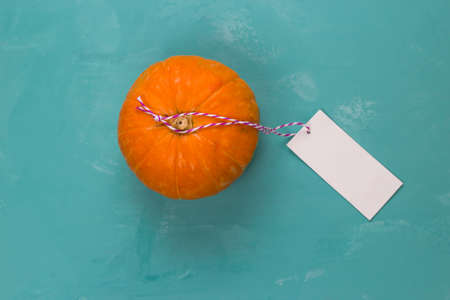 top view pumpkin with blank white  label on a blue backgroundの写真素材