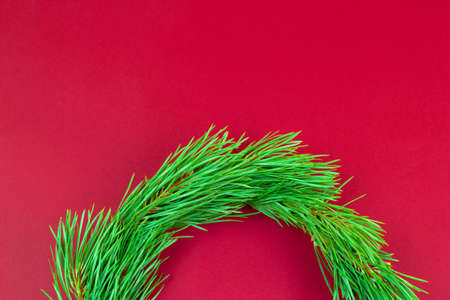 natural Christmas wreath on red background, copy spaceの写真素材