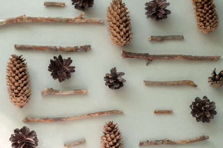 top view flat lay pine cones and wooden branches pattern on a gray background