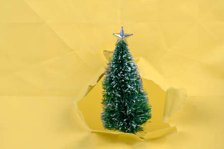 Christmas tree on a background of torn yellow paper