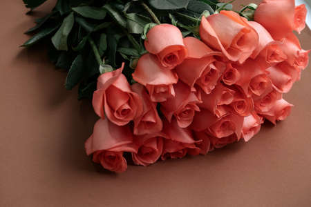top view soft orange roses on a red background flat lay copy space