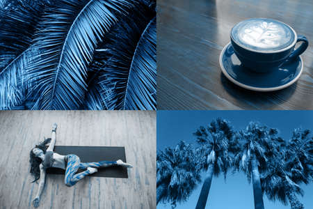 collage with palms, blue matcha and yoga, self love and relaxation conceptの写真素材