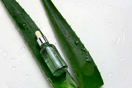 top view flat lay aloe vera leaves and glass jar with cosmetics product with aloe vera essenceの写真素材