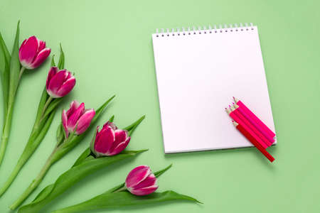top view flat lay pink tulips and blank notebook mock up and pink and red pencilsの写真素材