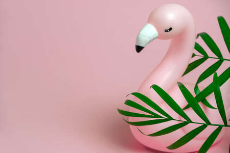 minimal summer fashion pastel pink background with pink flamingo and green palm leavesの写真素材