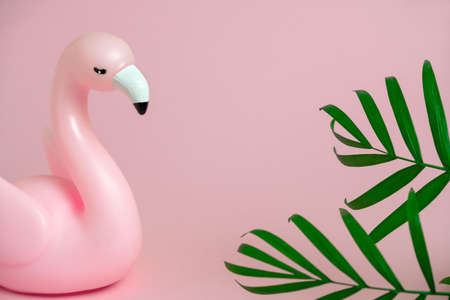 pink flamingo and green palm leaves  frame pink background copy spaceの写真素材