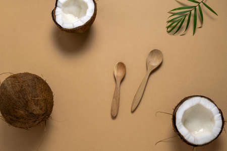 top view flat lay wooden spoons , coconuts and green tropical leaf on a beige backgroundの写真素材