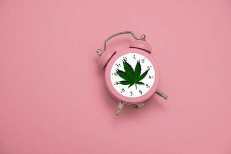 pink alarm clock with a leaf of cannabis on a pastel  pink background, minimal art poster on the...
