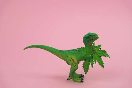 funny green dinosaur toy with cannabis green leaves on a pink backgroundの写真素材