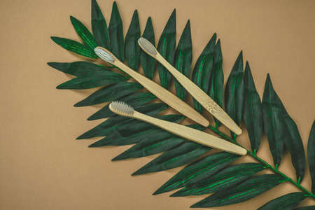 top view eco friendly wooden tooth brushes  and green tropical leaves layout on a brown background with copy spaceの写真素材