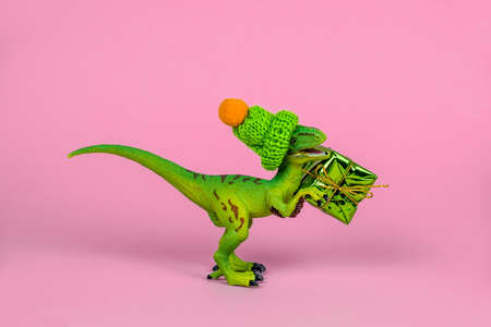 cute green plastic toy dinosaur wearing knitted hat and holding present box on a pink backgroundの写真素材