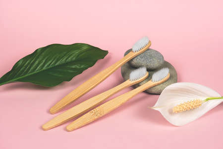 still life with bamboo toothbrushes, stones and green leaves on a pink background