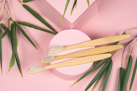 top view flat lay bamboo tooth brushes on a pink podium with green bamboo leavesの写真素材