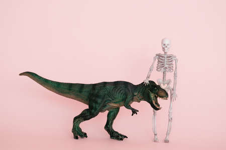 green dinosaur and human skeleton on a pink background selective focusの写真素材