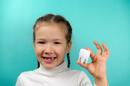 Beautiful little Caucasian girl holding little model of tooth on blueの写真素材