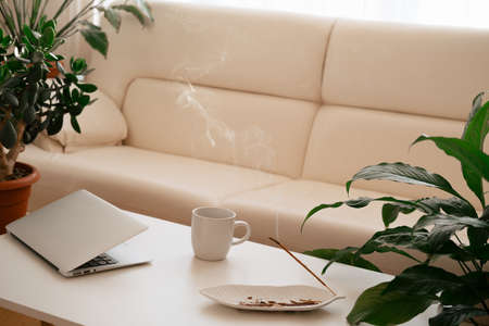 Modern workplace concept. Laptop coffee cup and aroma incense and plants.の写真素材