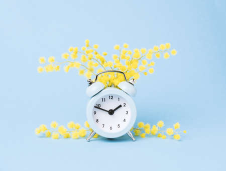Minimal pastel spring poster. Alarm clock and mimosa flowers blue background.の写真素材