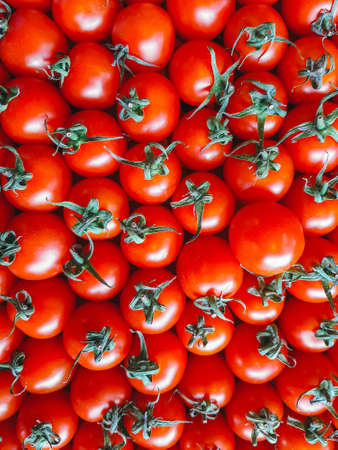 Top view fresh red mini tomatoes rows on a local marketの写真素材