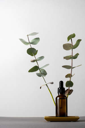 Cosmetic product brown glass jar with eucalyptus dry leaves on a gray background, copy space.の写真素材