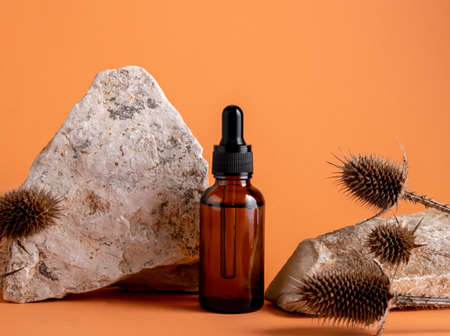 Glass bottle with moisturizing oil on background of stones and thorns. Natural cosmetics for dry skin concept.の写真素材
