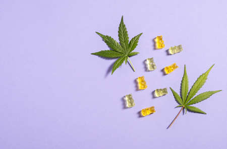 Top view colorful gummy bears and cannabis leaves on light violet background. copyspace.の写真素材