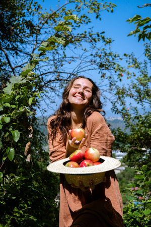 Happy young healthy woman holding straw hat full of fresh organic apples in sunny day in garden. Female wellness and autumn harvest concept.の写真素材