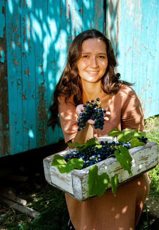 Beautiful young woman with curly hair wearing linen dress holding weathered wooden box full of grape berries on blue wooden shabby background in sunny autumn day.の写真素材