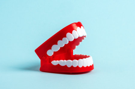 Plastic human jaw model on blue background.の写真素材