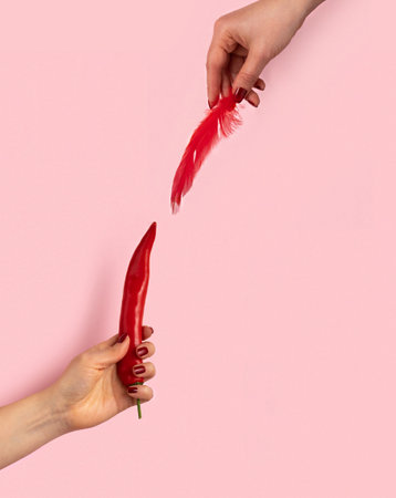 Female hand holds red chili pepper and red feather on pink background.の写真素材