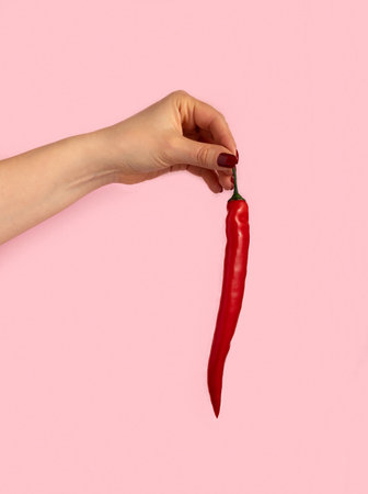Female hand holds red pepper on pink background.の写真素材