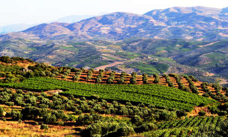 Greece, island Crete view from mount panoramaの写真素材