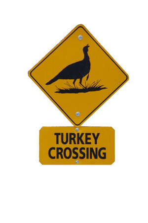 Turkey crossing signの写真素材