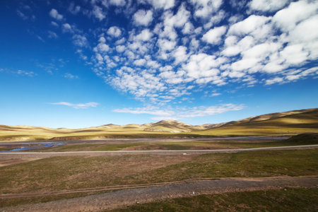 A grass plains with mountain landscape in the background against a blue sky with clouds at Tibetan Plateauの写真素材