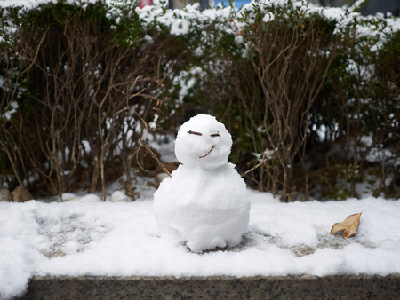 A snowman with a smiley face. The background is plant covered by snowfallの写真素材