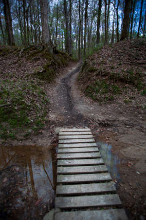 Dirt pathway and a wooden bridge in the forest with lush green trees and leaves