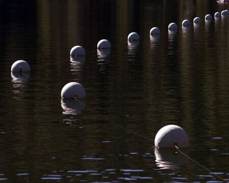 a line of buoys seperating swiming from boatingの写真素材