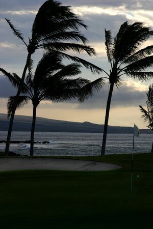 silhoutte of palm trees with golf flag and sandpitの写真素材