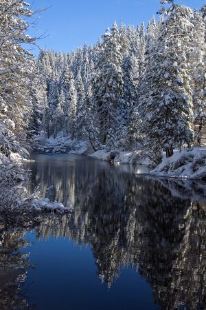a river running through the trees with snow and reflectionsの写真素材