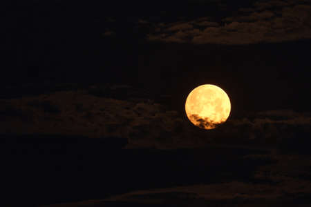 Flower blood super yellow moon with morning clouds