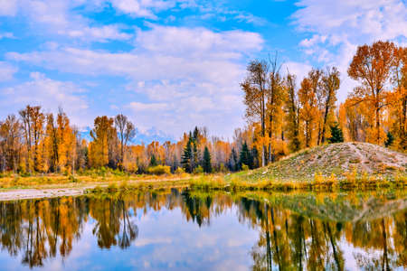 A pond at the base of the Grand Tetons displaying the fall colorsの写真素材