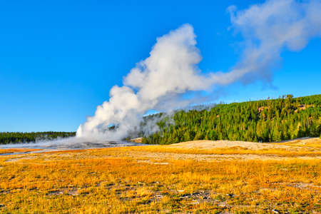 Old Faithful cone geyser in Yellowstone National Parkの写真素材