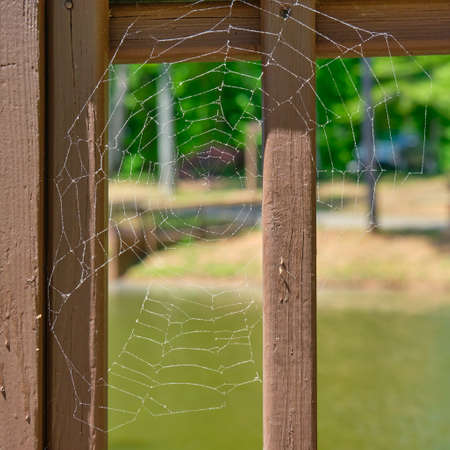 A spider web along the deck railingの写真素材