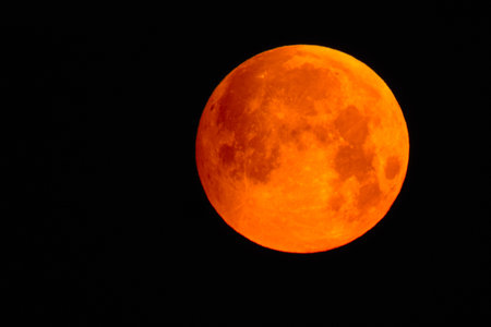 Flower blood full moon in May shortly before the lunar eclipse with red colorの写真素材