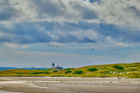 Sandy neck lighthouse with a dramatic sky with several flying birdsの写真素材