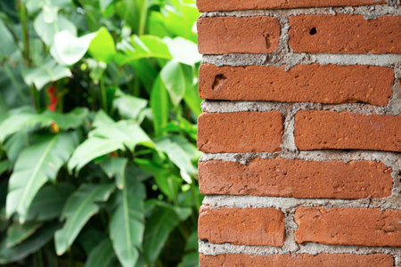 close up of exposed bricks on a wall with garden plants in the background