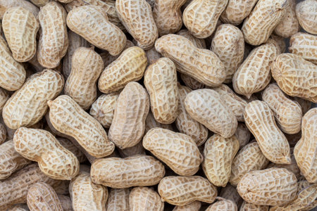 close up peanut texture backgroundの写真素材